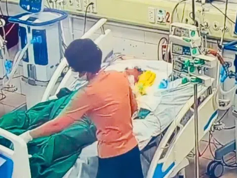Cả nhà nhập viện do mắc loại xoắn khuẩn nguy hiểm lan theo nước lũ