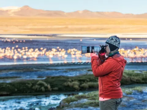 Khách Việt 'săn' hồng hạc ở Bolivia
