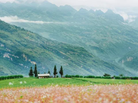Sa Pa, Hà Giang chật vật 'chưa từng có' trong mùa cao điểm
