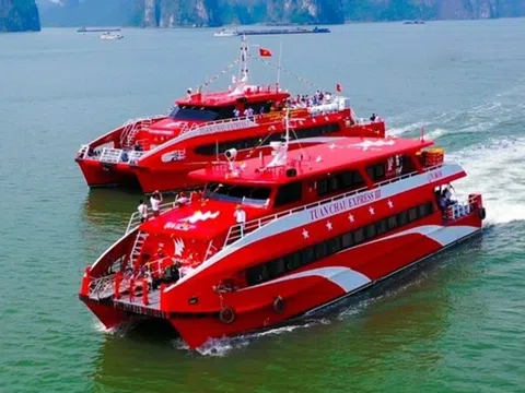 Tàu cao tốc Hạ Long - Cát Bà hoạt động từ tháng 11
