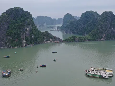 Thành lập Ban Quản lý di sản Hạ Long - Cát Bà