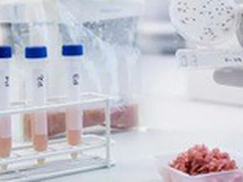 Cứ 10 người thì có 1 người mắc bệnh liên quan đến thực phẩm