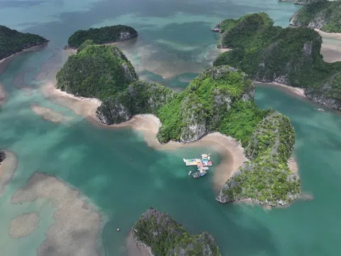 Hé lộ 'tour tỷ phú' trên vịnh Hạ Long
