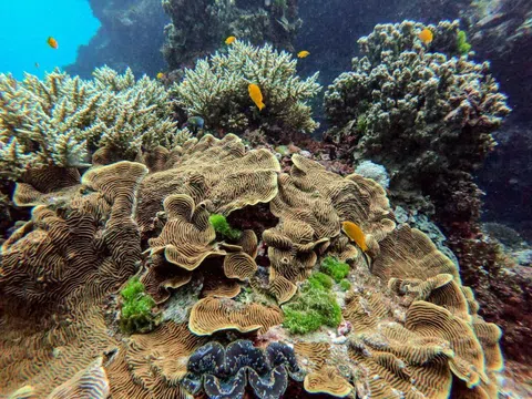 Loạt điểm du lịch mùa thu tại Queensland