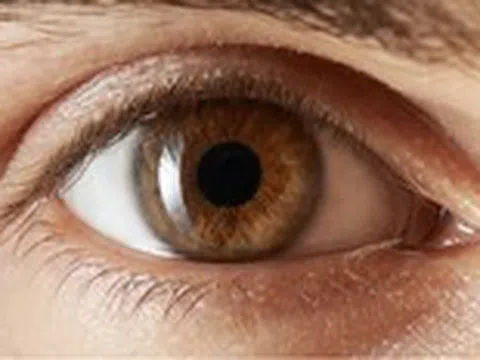 Vitamin gì cần thiết cho mắt, có thể tìm thấy ở những thực phẩm nào?