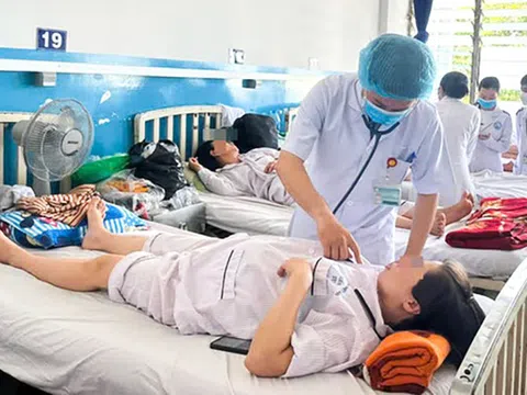 TP.HCM: Dịch sốt xuất huyết có dấu hiệu gia tăng liên tục