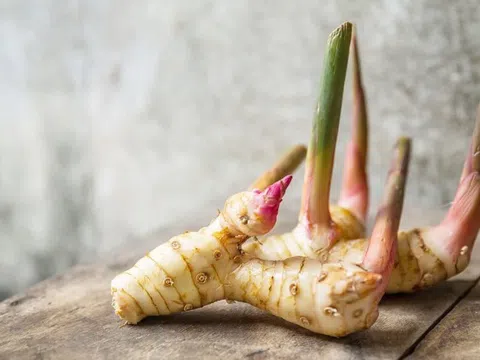 Một loại củ giúp hạ mỡ máu