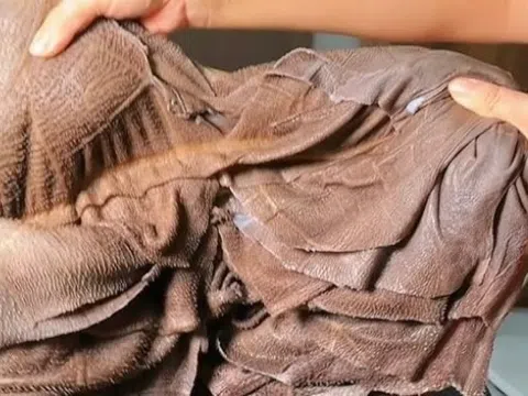 Bộ phận của bò nhìn bẩn nhưng bổ dưỡng