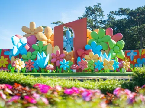 'Rừng hoa ánh sáng' hút khách ở Đà Lạt