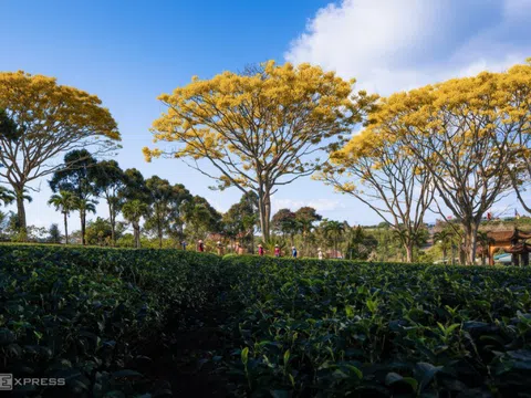 Cẩm nang du lịch Lâm Đồng