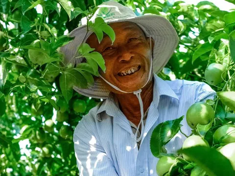 Chanh leo có rất nhiều tác dụng tốt cho sức khỏe, không phải ai cũng biết