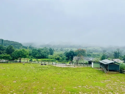 Ba ngày 'chữa lành' ở Đài Đông