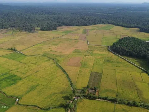 Cẩm nang du lịch Đồng Nai