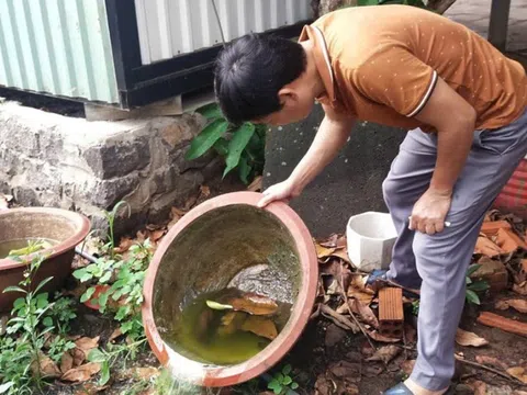 Đồng Nai tăng cường các biện pháp phòng chống sốt xuất huyết