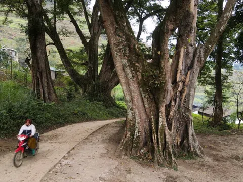 Làng cổ nổi tiếng ở Hà Giang bị bỏ hoang vì sạt lở