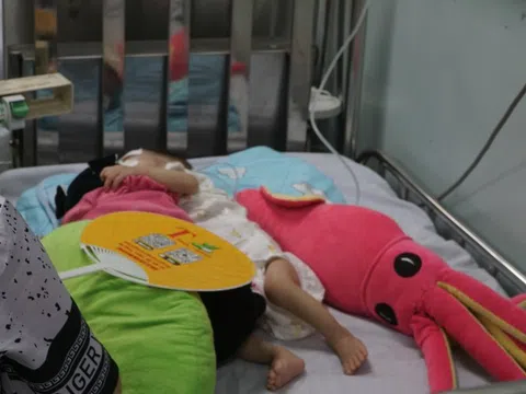 TP.HCM ghi nhận một ca không qua khỏi do sốt xuất huyết
