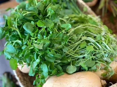 Lý do nên thận trọng khi ăn rau sống