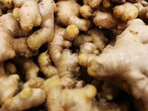 Tác dụng của việc ăn gừng cả vỏ