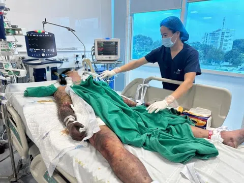 Không có người dưới 20 tuổi mắc liên cầu lợn