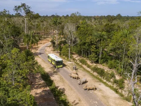 Vinpearl Safari Phú Quốc vào top đầu vườn thú và thủy cung châu Á