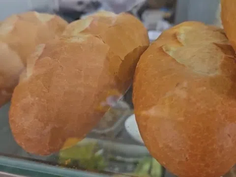Thực phẩm có trong bánh mì nghi gây ngộ độc ở Vũng Tàu nhiễm vi khuẩn salmonella