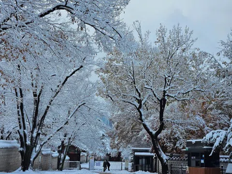 Khách Việt phấn khích với tuyết đầu mùa ở Seoul
