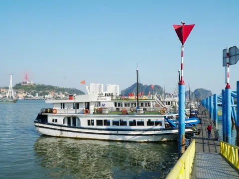Khuyến khích bỏ tàu du lịch vỏ gỗ trên vịnh Hạ Long