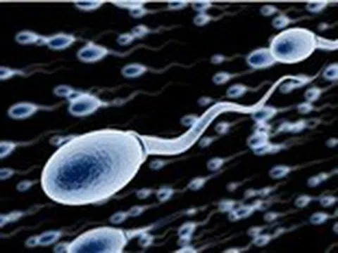 Những thực phẩm ảnh hưởng tinh trùng nam giới thường ăn mà không biết