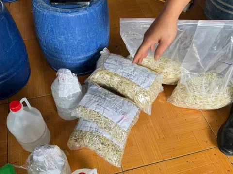 Giá ngâm chất cấm được... cấp chứng nhận đủ điều kiện an toàn thực phẩm