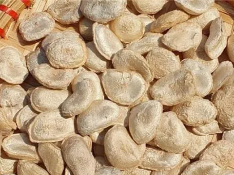 Cảnh báo ngộ độc khi sử dụng bột hạt sang chữa bệnh dạ dày, đại tràng