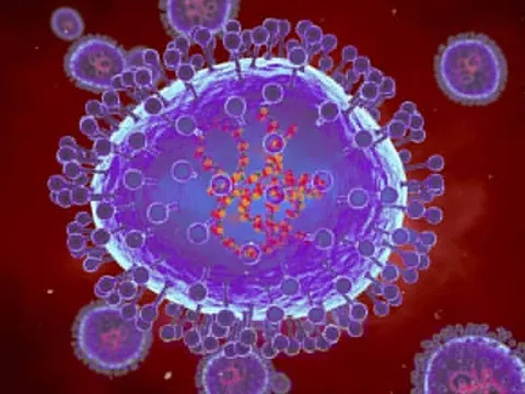 Ấn Độ: Em bé 8 tuổi là trường hợp đầu tiên nhiễm virus HMPV