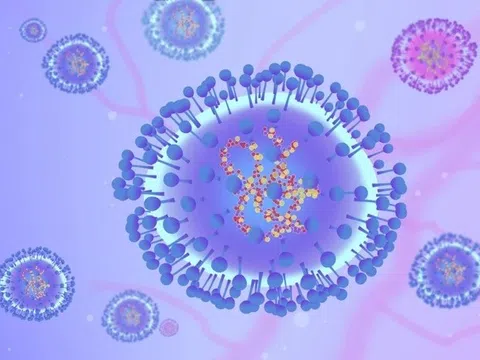 Sở Y tế TP.HCM: 'HMPV không phải là virus mới'