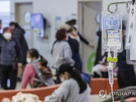 Dịch cúm lan nhanh ở Hàn Quốc, Seoul khuyến cáo dân đeo khẩu trang