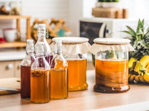 Uống kombucha mỗi ngày có tác dụng gì với cơ thể?