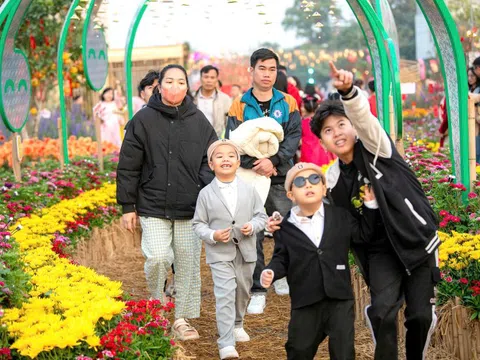 Đón Tết nay, bánh chưng, bánh mứt kẹo cứ ăn nhưng đừng quên cân đối dinh dưỡng