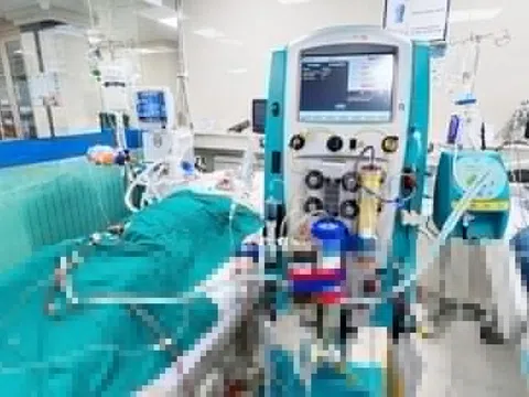 Cách uống paracetamol gây hủy hoại gan nhiều người hay mắc