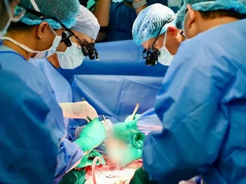 200 y bác sĩ ở TP.HCM xuyên đêm ghép tạng cứu 4 người