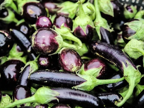5 không khi ăn cà tím