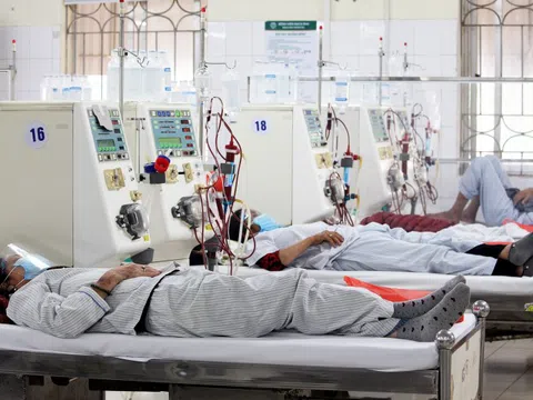 Thực hư 'thần dược lọc máu' ngừa ung thư, đột quỵ