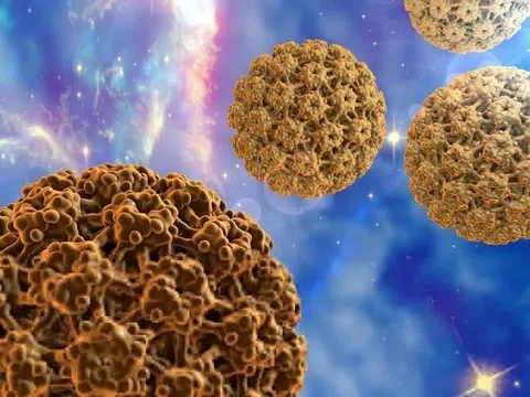 Virus HPV nguy hiểm thế nào?