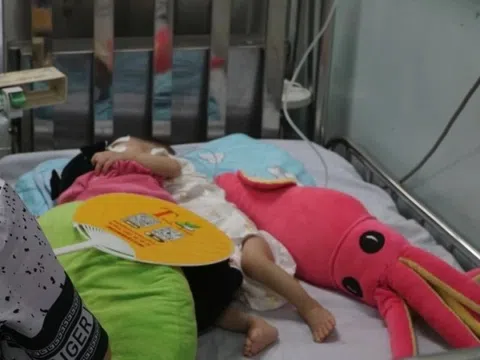 TP.HCM sẵn sàng ứng phó khi sốt xuất huyết đến sớm