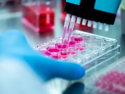 Nhiều tập đoàn gene lớn muốn tiến vào Việt Nam