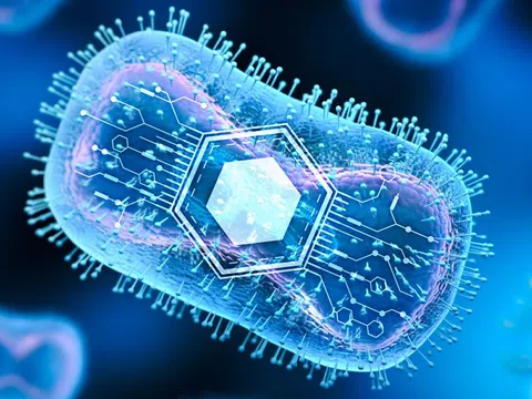 Đột phá điều trị ung thư bằng vi khuẩn