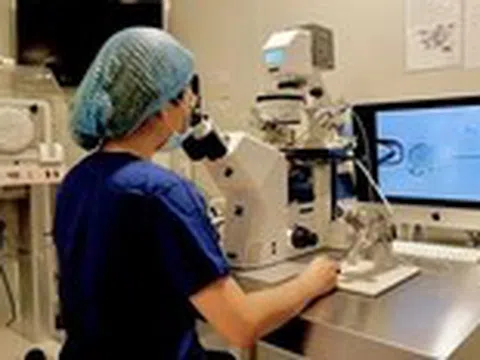 Tìm ra ‘thủ phạm’ gây nhiều thế hệ bị sứt môi chẻ vòm