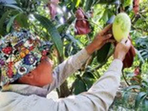 Loại đường nào tốt hơn cho sức khỏe?
