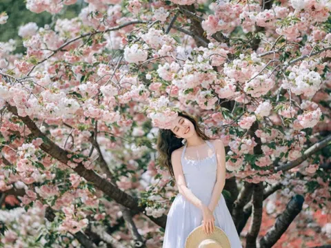 Những kiểu tạo dáng trong hoa xuân