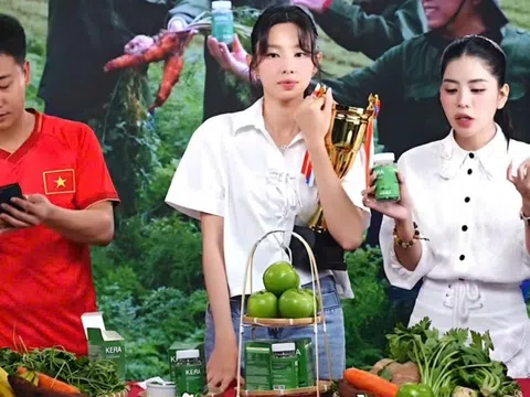 Những vụ như '1 viên thay đĩa rau', không thể cứ xin lỗi là xong