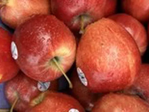 Chất xơ quan trọng thế nào mà các mẹ lại phải thêm 'kẹo rau củ' cho con?