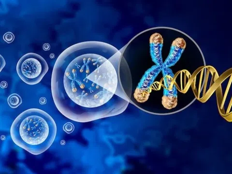 Phát hiện đáng ngạc nhiên mở ra hy vọng ngăn ngừa bệnh ung thư