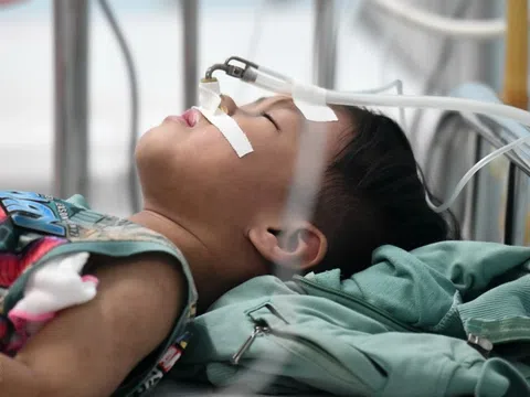 12 tỉnh, thành phố có số ca sởi cao nhất